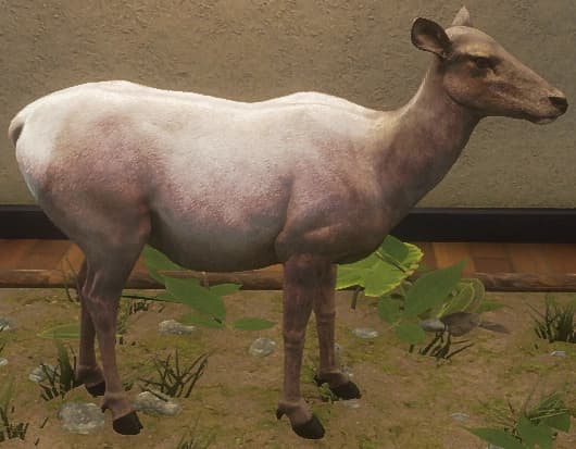 浅灰色 - 左侧（雌）