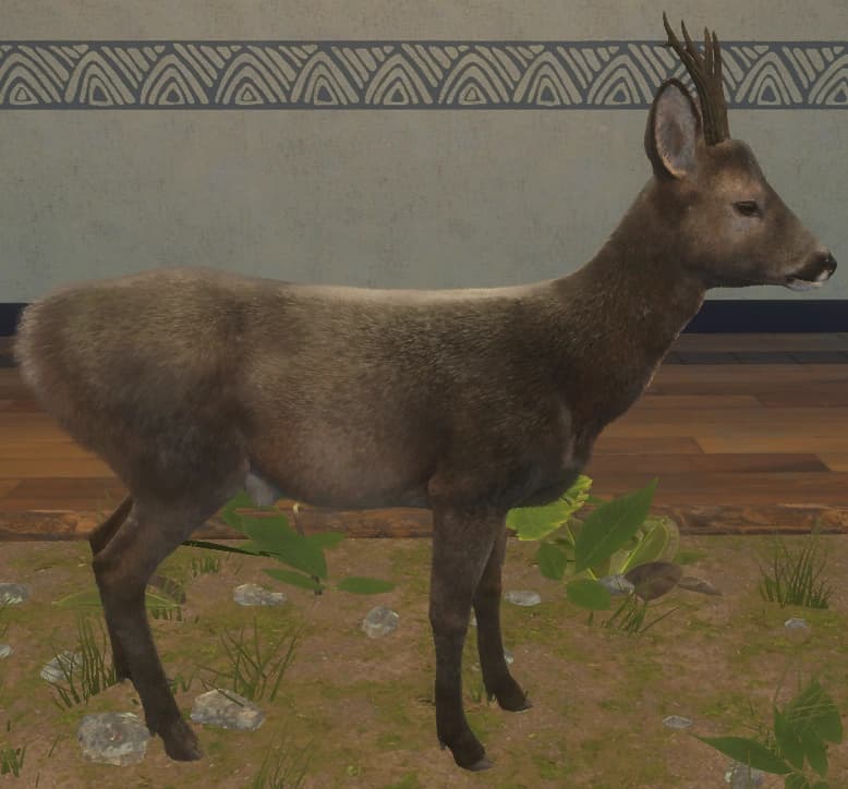 深灰 - 右侧（雄）