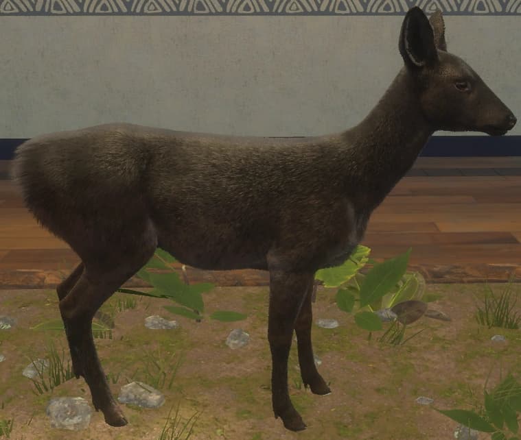 黑化 - 右侧（雌）