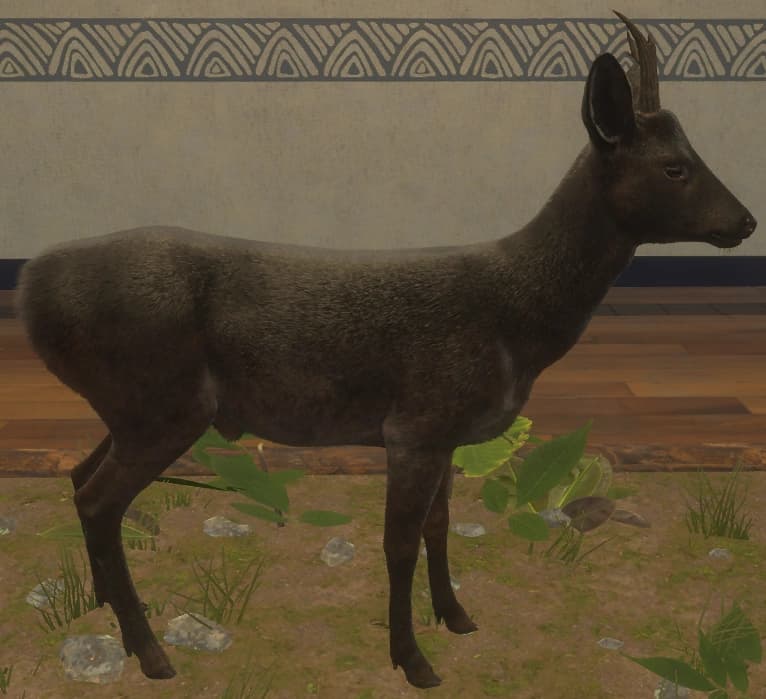 黑化 - 右侧（雄）