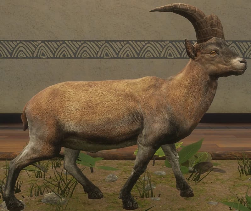 棕色混种 - 棕色混种