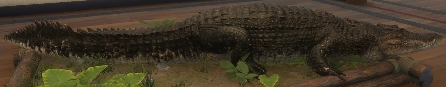 深褐色 - 深褐色