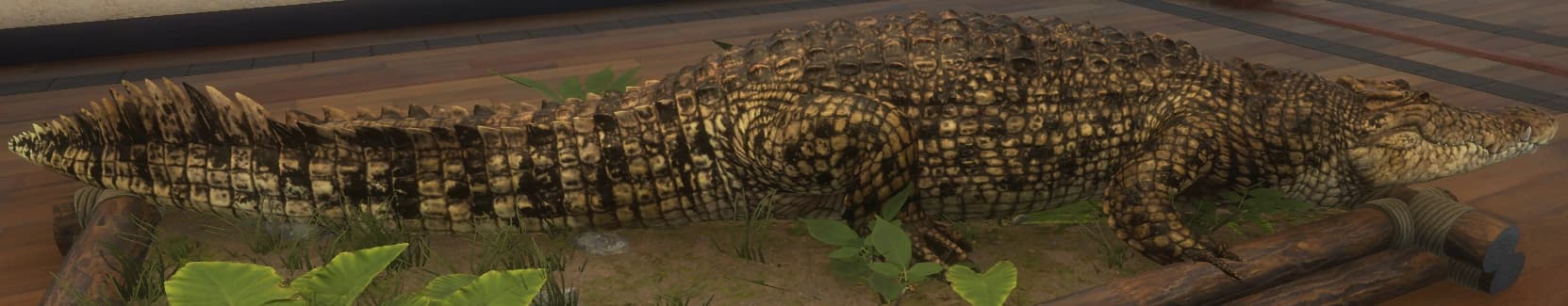 浅褐色 - 浅褐色