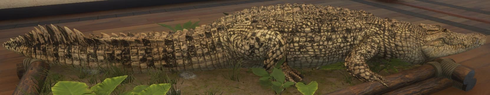 花斑变体 1 - 花斑变体 1