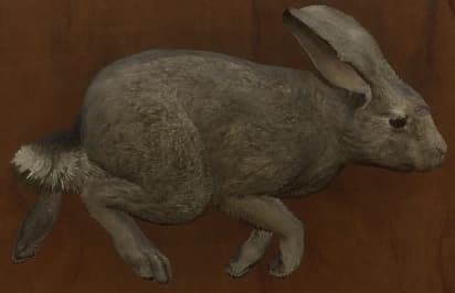 浅灰色 - 浅灰色