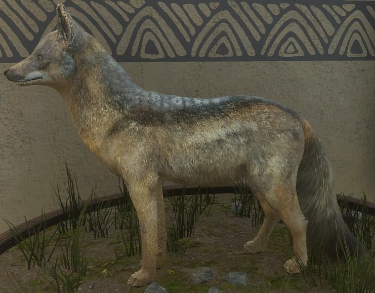 灰褐色 - 灰褐色