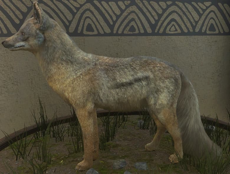 浅褐色 - 浅褐色