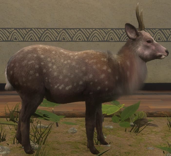 深色斑点 - 雄性