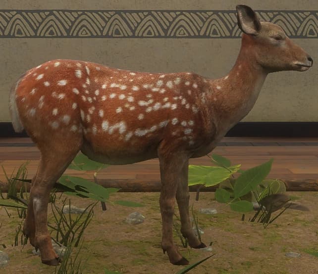 赤色斑点 - 雌性