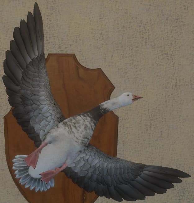 中间变色 - 正面