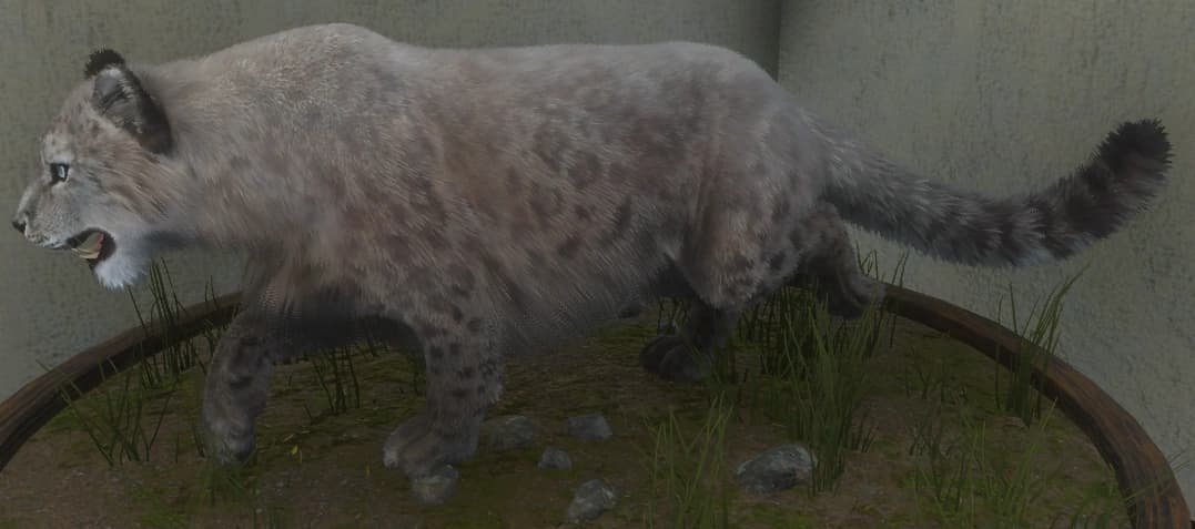 白色亚种 - 白色亚种