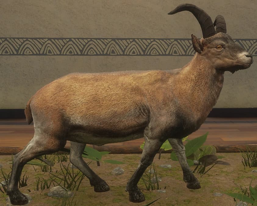 棕色混种 - 棕色混种