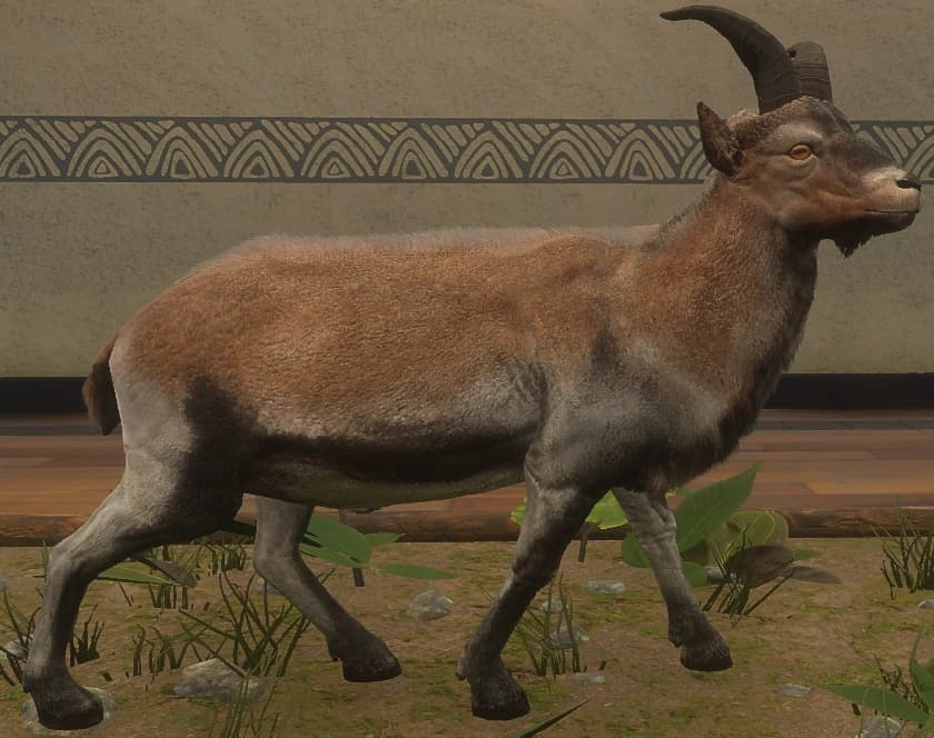 灰褐色 - 灰褐色