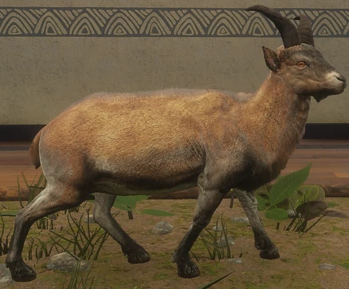 浅褐色 - 浅褐色