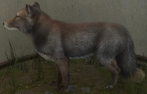 烟灰色 - 烟灰色