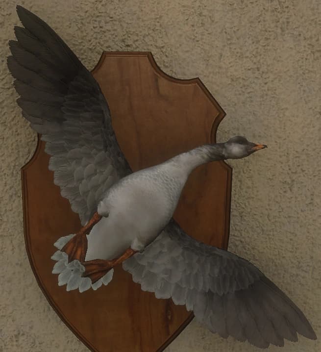 白变变异 2 - 正面