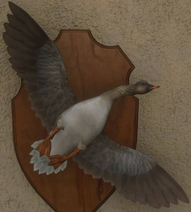 白变变异 3 - 正面