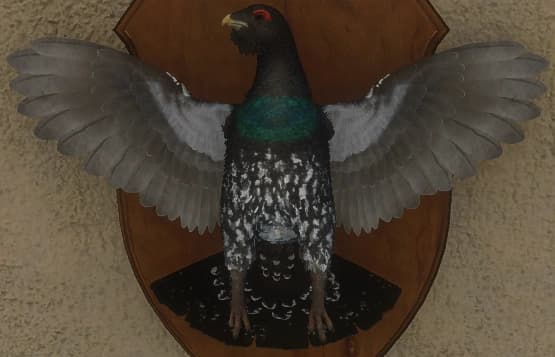 深色 - 正面（雄）