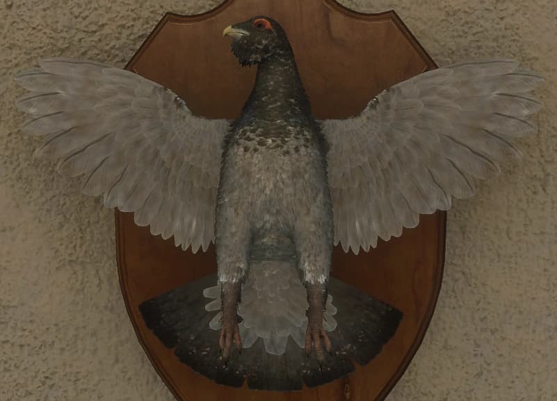 浅色 - 正面（雄）