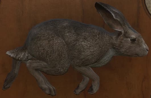 浅褐色 - 浅褐色