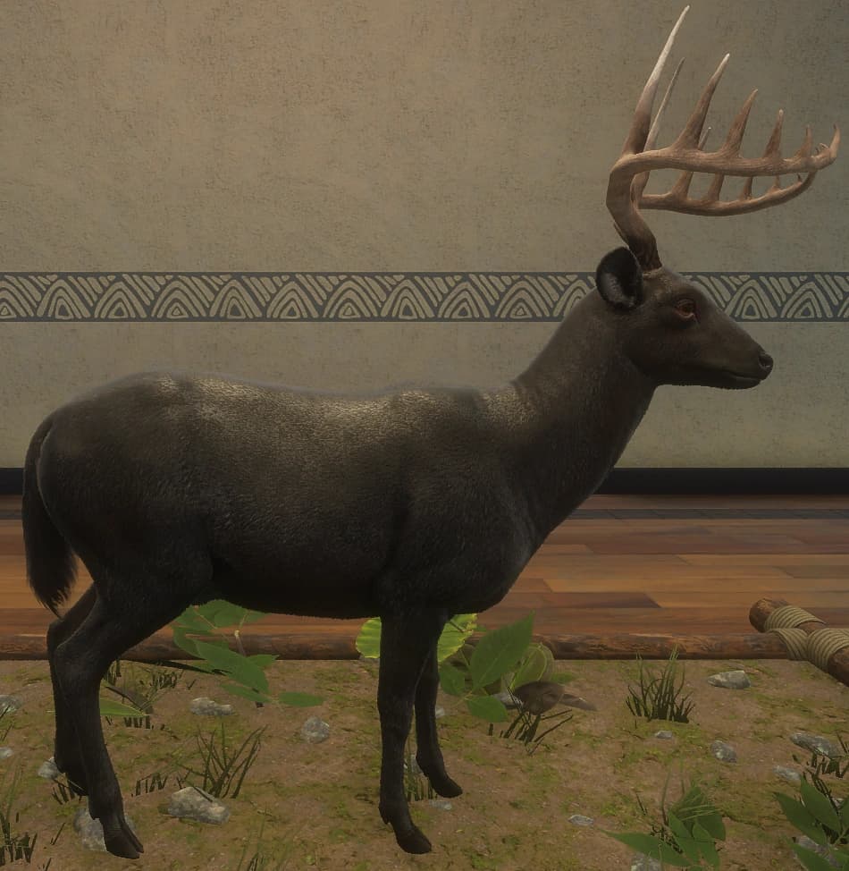 黑化 - 右侧（雄）