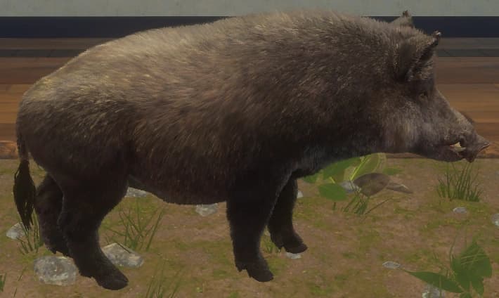 棕色变化 2 - 棕色变化 2