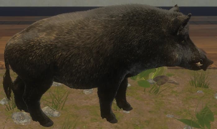 深褐色 - 深褐色