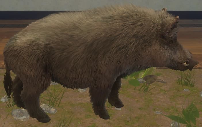 浅褐色 - 浅褐色