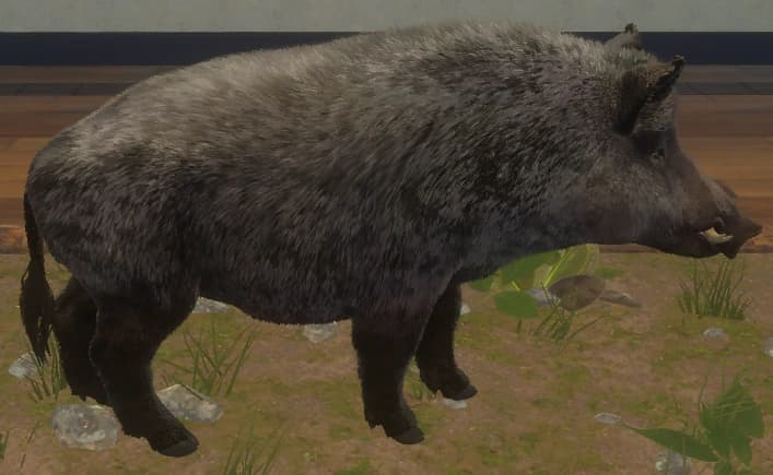 紫灰色 - 紫灰色