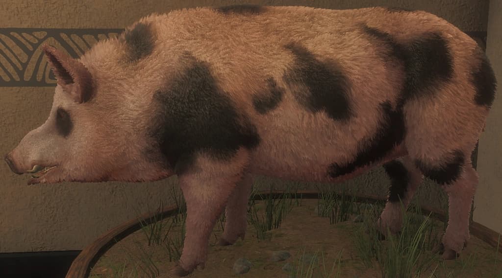 黑点变化 2 - 左侧