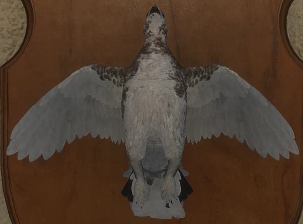 杂色中 - 正面（雄）