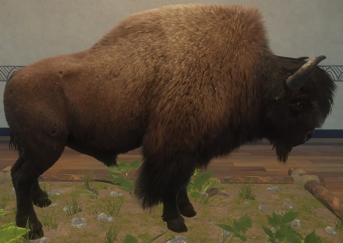 姜黄条纹 - 右侧