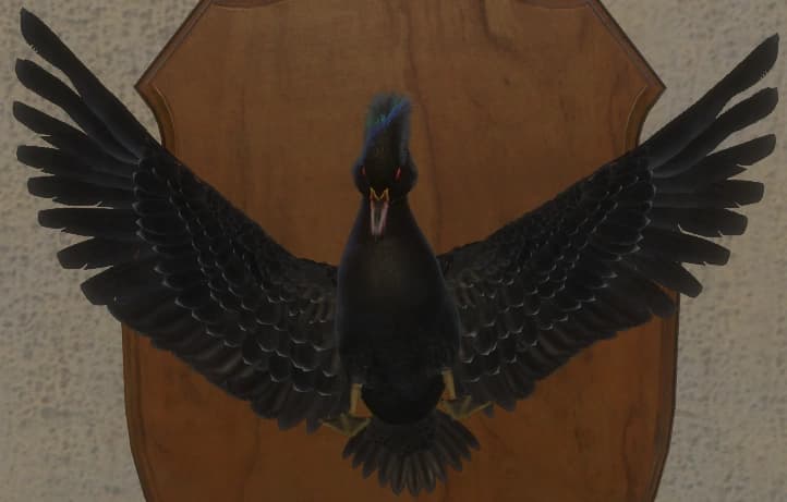 黑化 - 正面（雄）