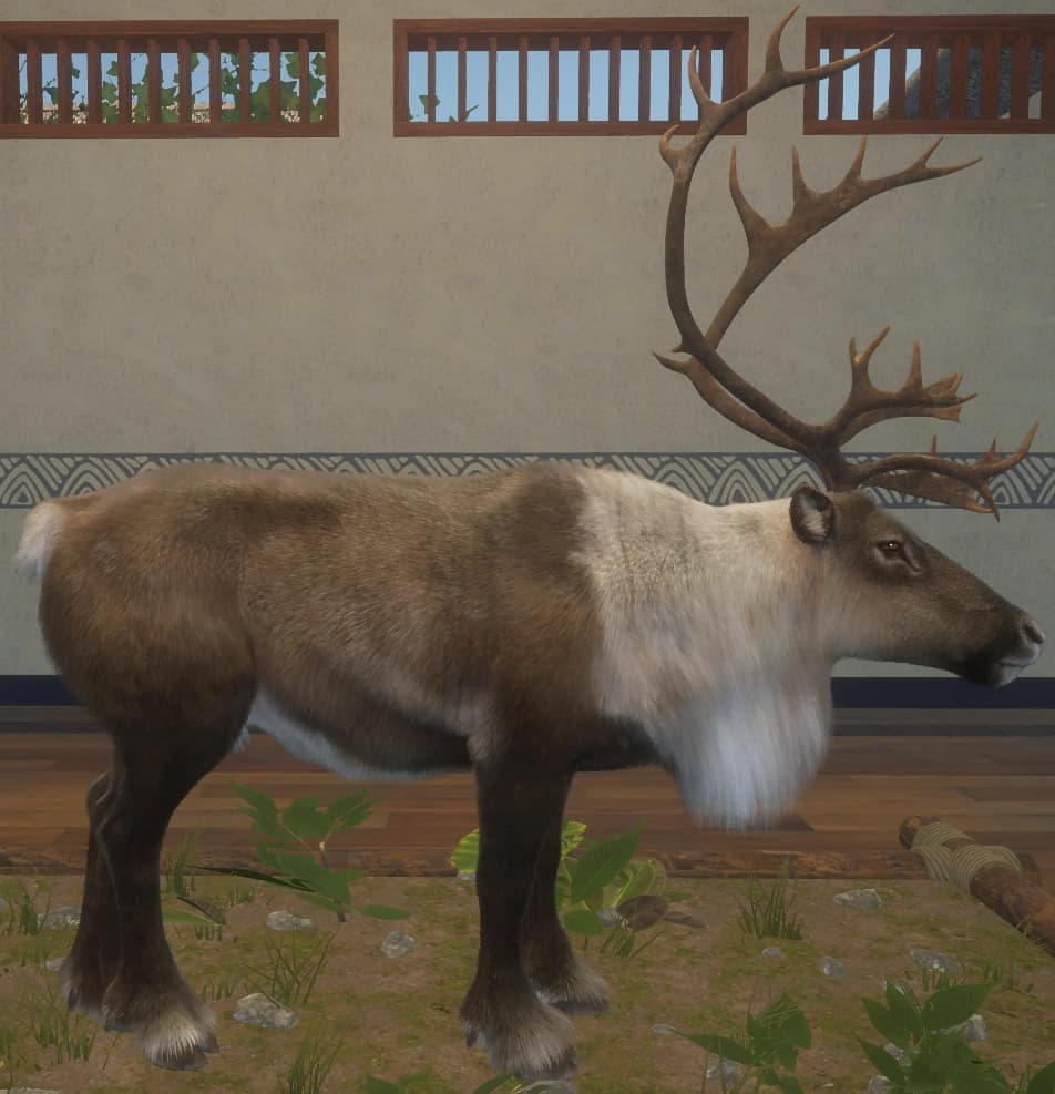 深褐色 - 右侧（雄）