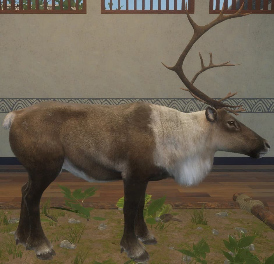 浅褐色 - 右侧（雄）