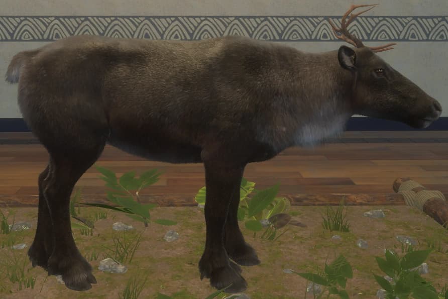 黑化 - 右侧（雌）