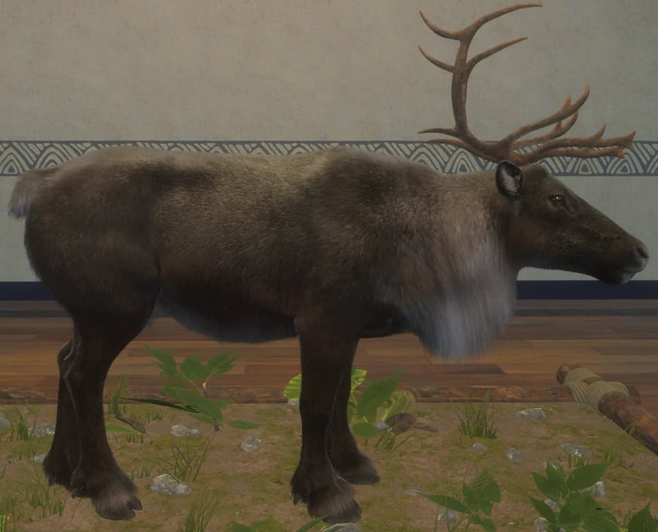 黑化 - 右侧（雄）