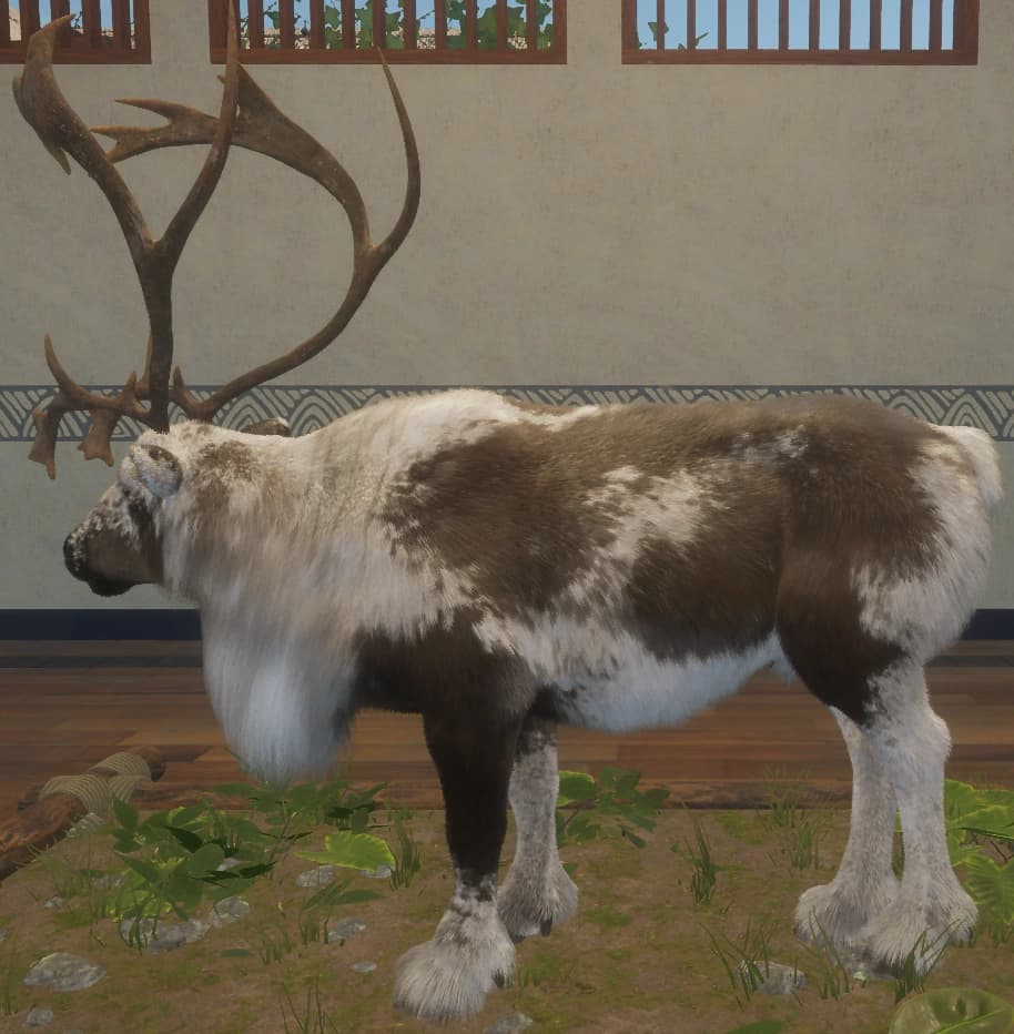 花斑变体 1 - 左侧（雄）