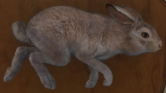 浅褐色 - 浅褐色