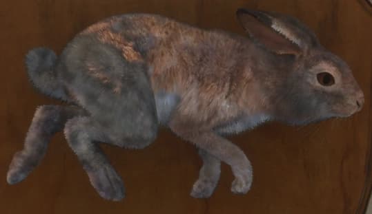 杂色中 - 杂色中