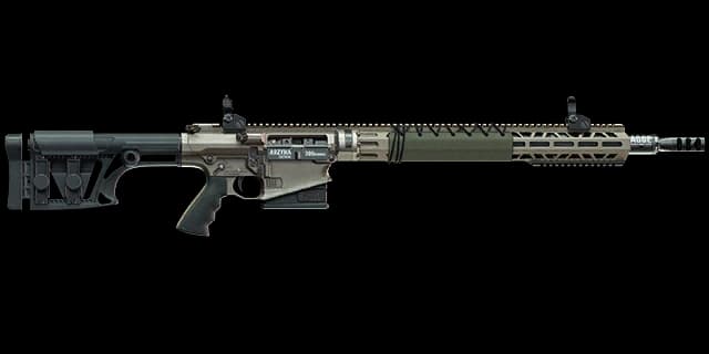 阿尔兹纳.300马格南战术步枪